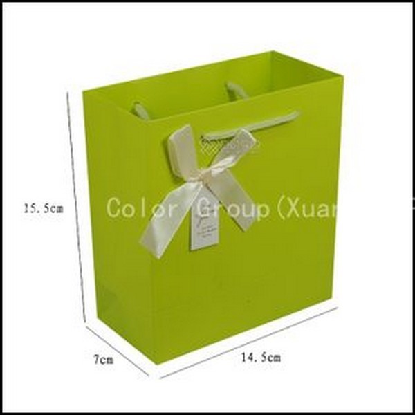 Shopping Paper Bags With Cotton Handles 